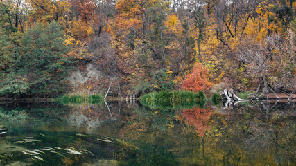 Vibrant colorful autumn nature by the river shore with mirror reflection on calm water surface