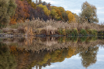Scenic vibrant autumn riverside, nature with colorful trees reflecting in mirror of river waters