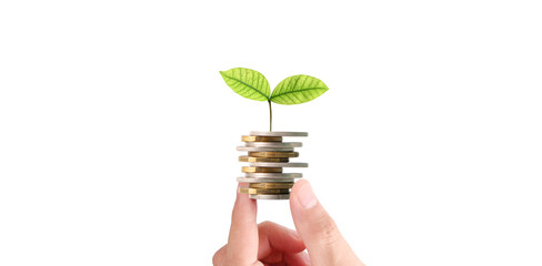 Businessman holding plant sprouting from a handful of coins