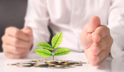 Businessman holding plant sprouting from a handful of coins