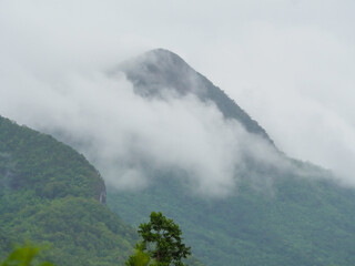 Fototapeta premium Fog on the mountains in the rainy season 