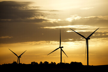Obraz premium Wind turbine generators for clean electricity production