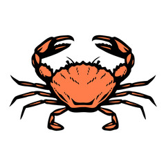 Sea crab. Seafood.