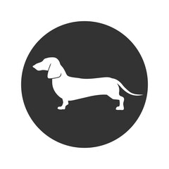 Dachshund dog icon on white background in flat. Vector illustration
