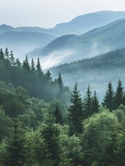 Obraz premium nature-inspired color palettes for a soothing and harmonious home decor