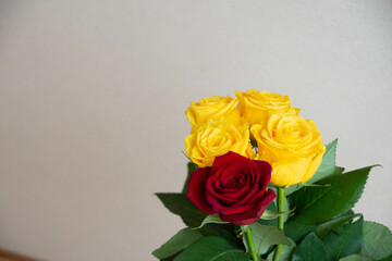 黄色と赤のばら