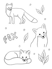 Coloring with foxes. Tattoo with foxes