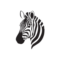 African Zebra vector arts.