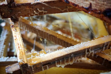 Honey in honeycomb and wooden frame. A lot of wood frame. Close up. Selective focus, moving
