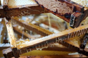 Honey in honeycomb and wooden frame. A lot of wood frame. Close up. Selective focus, moving