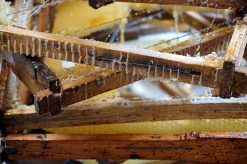 Honey in honeycomb and wooden frame. A lot of wood frame. Close up. Selective focus, moving