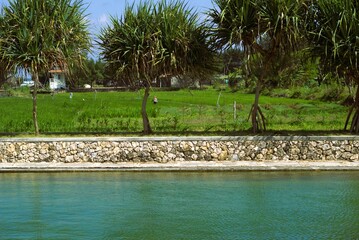 The edge of outdoor swimming pool in a resort with a natural view