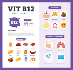 Set of vitamin B12 Infographic poster design labeled Benefit, deficiency and source dietetic organic nutrition products, Organic nutrition, food containing egg, beef liver, cheese, milk, apricot