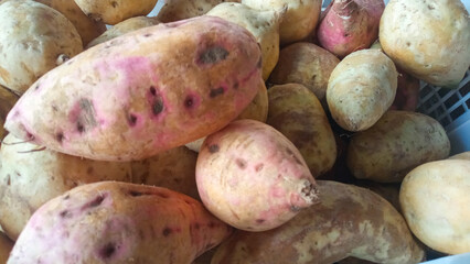 Sweet potato on the market display