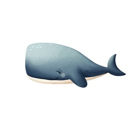 Watercolor illustration of a blue whale. The illustration is perfect for design and printed products. JPG image in 300 dpi format