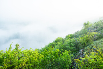 Beautiful landscape photo with mysterious dense fog. Morning with fog.