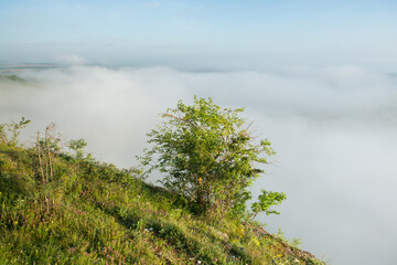 Obraz premium Beautiful landscape photo with mysterious dense fog. Morning with fog.