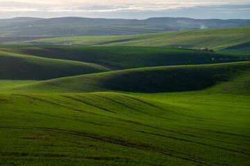 Fototapeta premium landscape with hills in spring