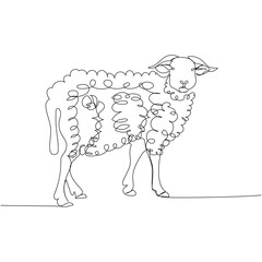 sheep, ram, livestock one line art. Continuous line drawing of farm, nature, agriculture, farm animals, rural life, ranch.