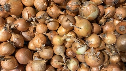 full frame of yellow onions for sale in market. Onions background
