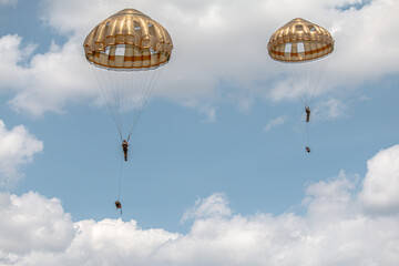 German paratroopers (Fallschirmjäger) descend from aircraft with parachutes during a NATO exercise. Demonstrating precision and teamwork, they conduct a tactical jump for rapid deployment in joint mil