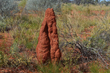 Termite mounds along the Stuart Highway in the Red Center of Australia.