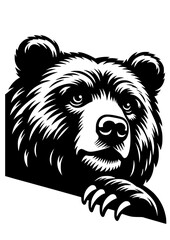 Bear SVG, Bear Head SVG, Forest SVG, Wooden SVG, Animal SVG, Honey SVG, Bear Portrait SVG, Bear Silhouette, Bear Vector, Clipart, Cut file for Cricut SVG, JPG, PNG