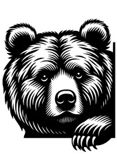 Bear SVG, Bear Head SVG, Forest SVG, Wooden SVG, Animal SVG, Honey SVG, Bear Portrait SVG, Bear Silhouette, Bear Vector, Clipart, Cut file for Cricut SVG, JPG, PNG