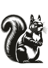 Squirrel SVG, Animal SVG, Fox SVG, Acorn SVG, Cute Squirrel SVG, Squirrel Silhouette, Squirrel Vector, Clipart, Cut file for Cricut, Instant Download SVG, JPG, PNG