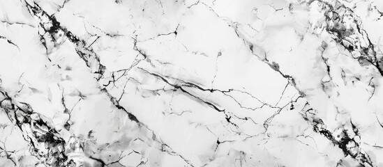 Fototapeta premium Pattern beautiful stone for background, marbled, Black and white style. Copy space image. Place for adding text and design