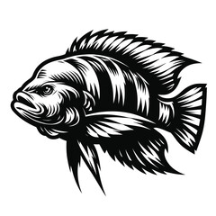 cartoon illustration of a tilapia fish in black and white silhouette