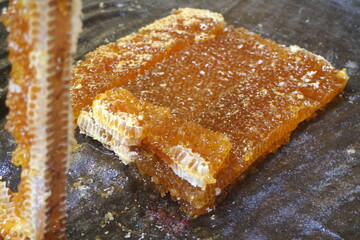 
Honey cells on fabric, ready for press. Mechanical honey press from fabric. Honey processing