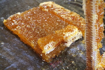 
Honey cells on fabric, ready for press. Mechanical honey press from fabric. Honey processing