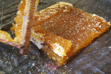 
Honey cells on fabric, ready for press. Mechanical honey press from fabric. Honey processing