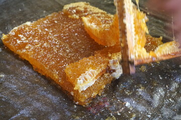 
Honey cells on fabric, ready for press. Mechanical honey press from fabric. Honey processing