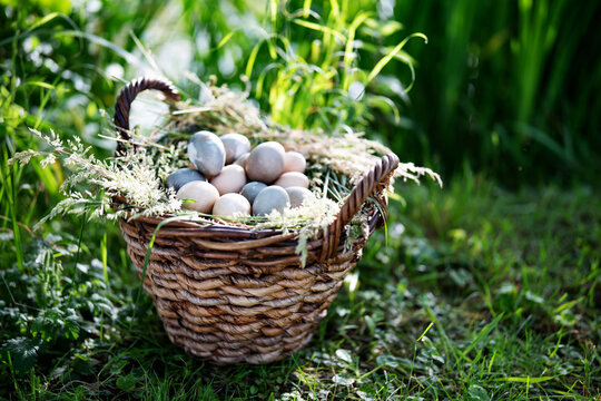 Big wicker basket in meadow, filled with pastel eggs on top of a bed of grasses. 