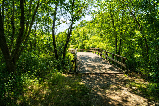 Footbridge in Monmouth Battlefield State Park, Manalapan, NJ 