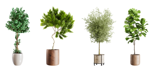 Collection plants in ceramic pots isolated on transparent background. 3D rendering.