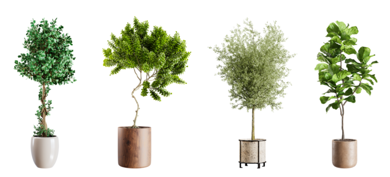 Collection plants in ceramic pots isolated on transparent background. 3D rendering.