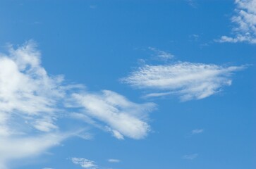 Fototapeta premium Thick clouds in summer blue sky. Cloudy bright beauty in the sun, bright and calm summer air background.