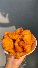 Corn fritters on a plate, plate in hand. exposed to sunlight. Focus selected