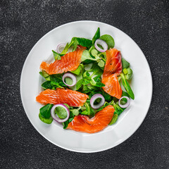 salad salmon appetizer meal food snack on the table copy space food background rustic top view keto or paleo diet vegetarian food