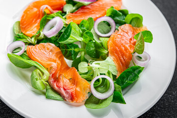 salad salmon appetizer meal food snack on the table copy space food background rustic top view keto or paleo diet vegetarian food