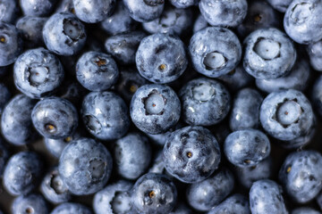 Pattern with fresh blueberries