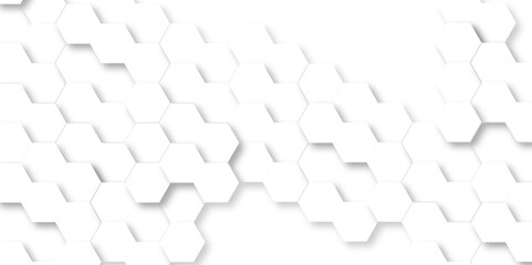Obraz premium Abstract background with hexagon, modern abstract vector polygonal pattern. Futuristic abstract honeycomb technology white background. Luxury white hexagon pattern.