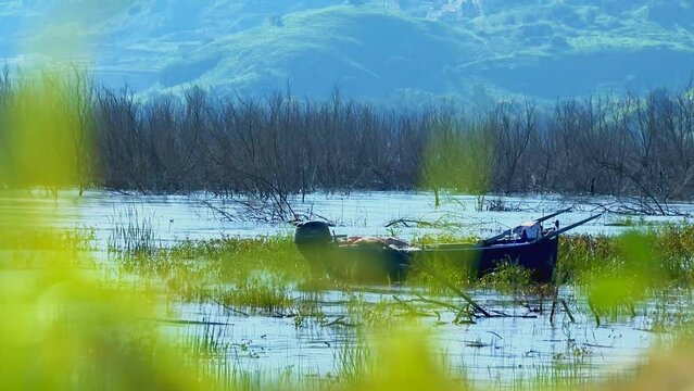 A tranquil scene of a calm lake shore with a fisherman's boat gently rocking with the water movements, surrounded by a large and crowded water trees. Sea of Galilee, Israel.