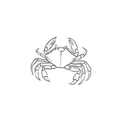 Ocean and Sea, Botanica illustration. Black ink, line, doodle style. 