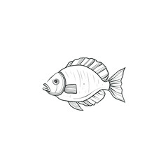 Ocean and Sea, Botanica illustration. Black ink, line, doodle style. 