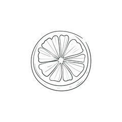 Ocean and Sea, Botanica illustration. Black ink, line, doodle style. 