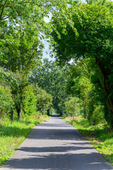 A beautiful straight cycle path in the green countryside of Bandenburg, Germany